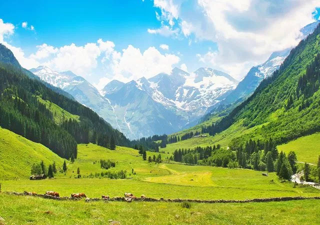 7 DAYS SCENIC TOUR HEAVENLY KASHMIR ESCAPE