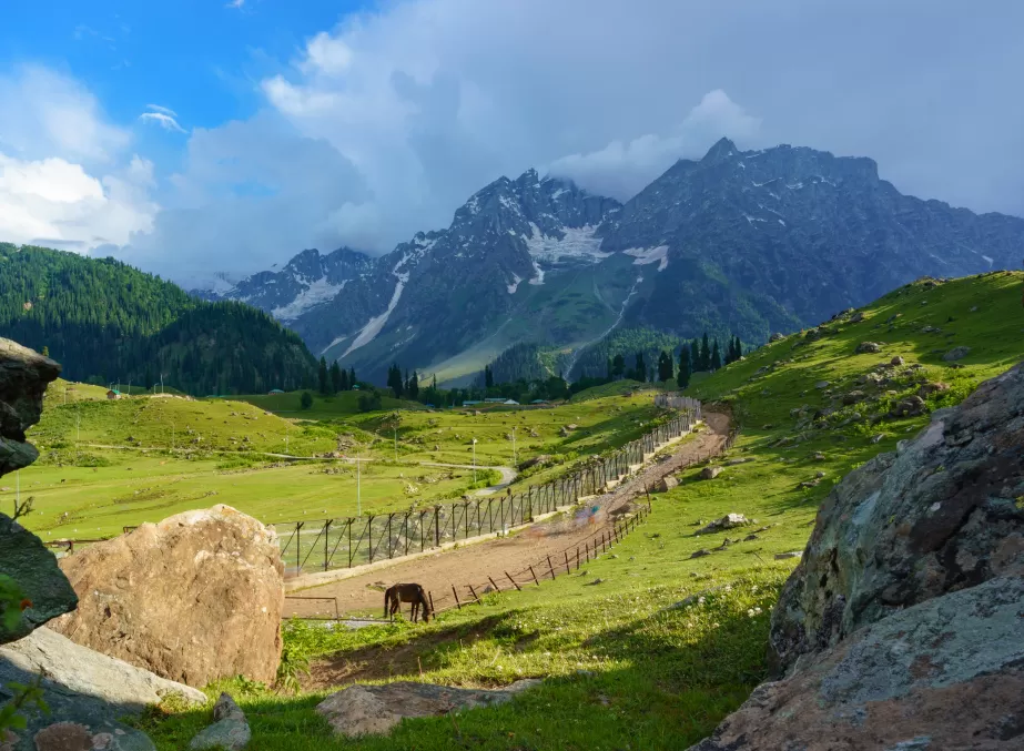 5 DAYS MAGICAL KASHMIR ESCAPE