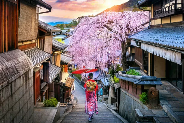 8-DAY JAPAN CULTURAL ESCAPADE: FROM CASTLES TO CULINARY CRAFTS