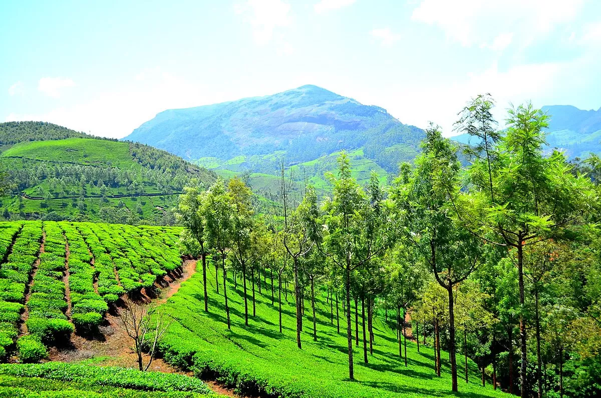 KERALA HIGHLIGHTS — 6 DAYS  TOUR PACKAGE