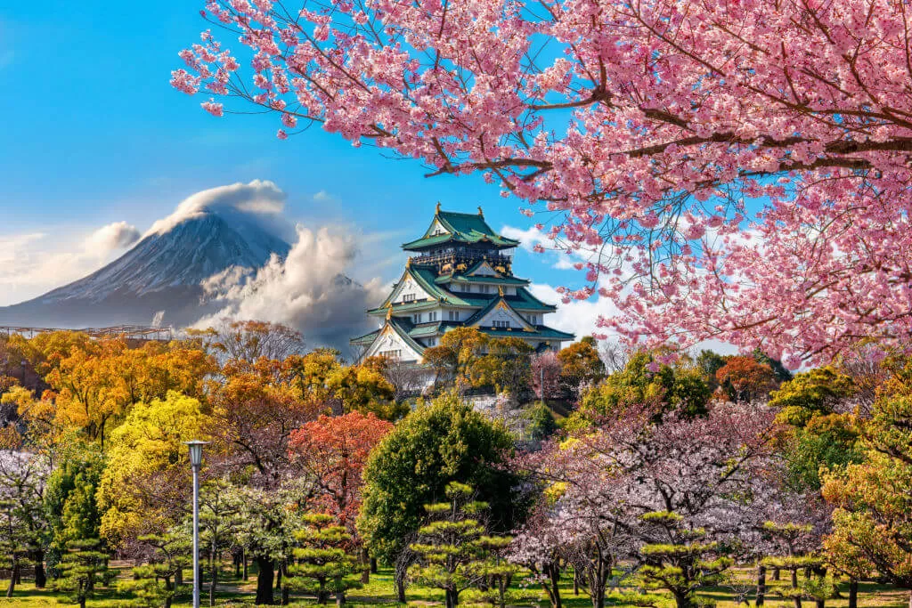 8-DAY JAPAN DISCOVERY JOURNEY: TOKYO — HOKKAIDO — CULTURAL IMMERSION