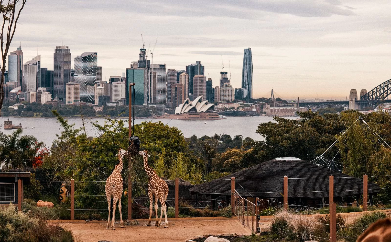 5-DAY AUSTRALIA GETAWAY