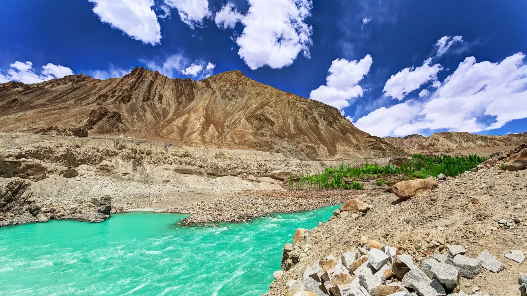 EXPERIENCE IN 7 DAYS LEH — NUBRA — TURTUK — PANGONG ODYSSEY